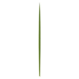 Deri Lulav - Classic
