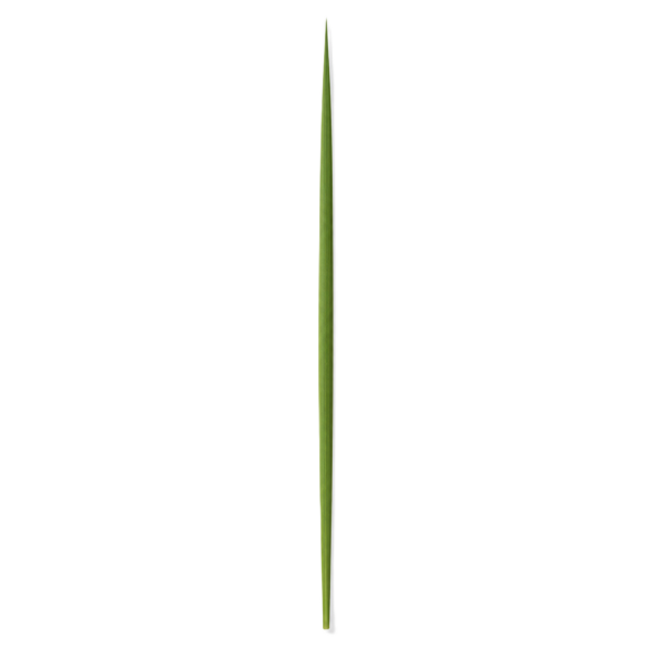 Standard Lulav