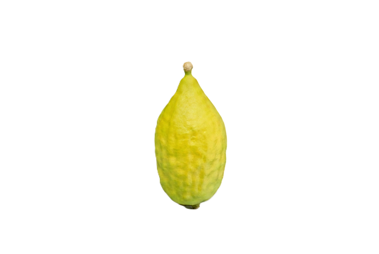Individual esrog